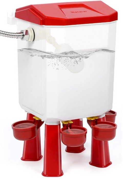 Automatic Chicken Waterer with Float-Controlled System